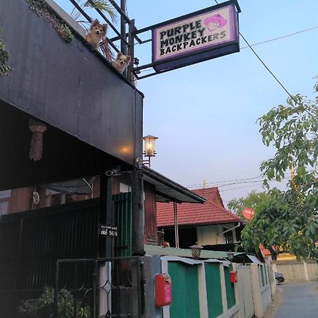 A Pousada Purple Monkey Backpackers Chiang Mai Exterior foto