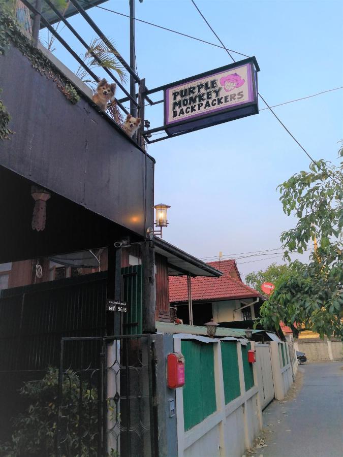 A Pousada Purple Monkey Backpackers Chiang Mai Exterior foto