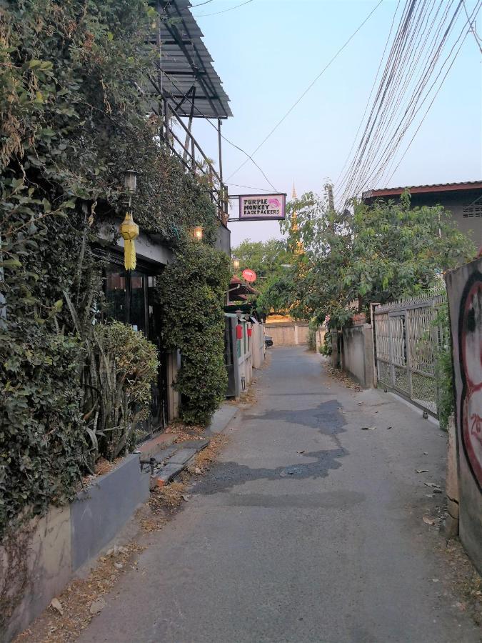 A Pousada Purple Monkey Backpackers Chiang Mai Exterior foto